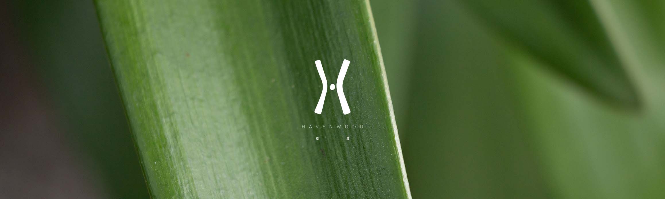 havenwood